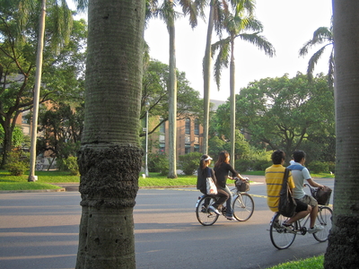 點亮台大的身影