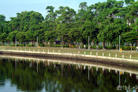 都市叢林單車行