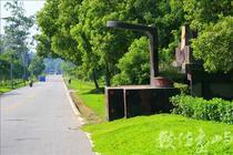 屏東路口指揮哨