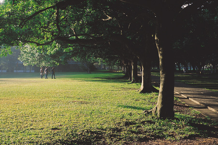 校園-東海大學