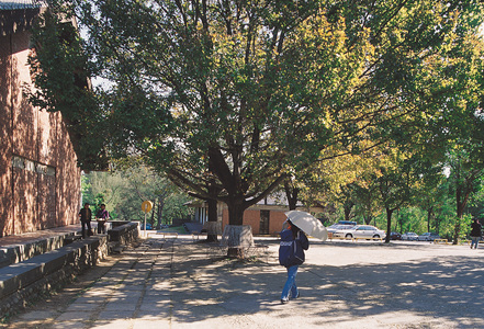 校園-東海大學