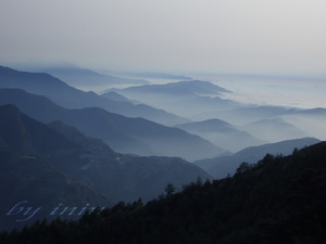 合歡山下雲海