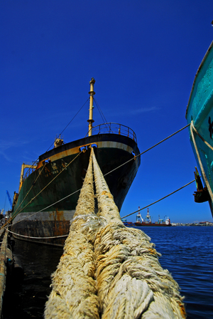 高雄牽絆與依戀