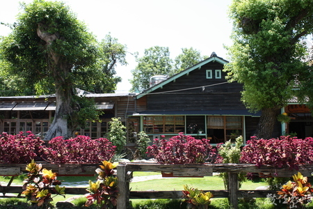 國立花蓮教育大學外拍