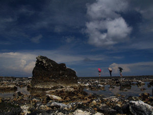 走訪澎湖潮間帶