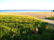 像是夢裡才會出現的海邊、沙灘、草原、藍天