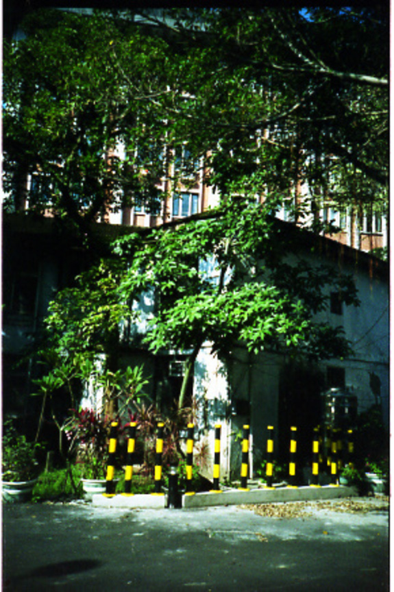 史語所後方的神秘小屋(LOMO)-fd0000