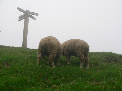 數位島嶼南投徵件活動