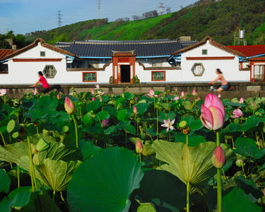 城市