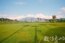 花蓮鹿野＠forest.tw