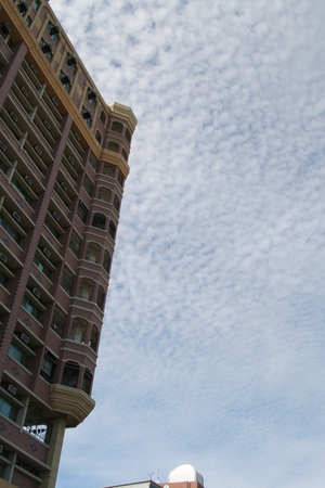 降了一場雨之後