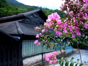 花蓮 林田山