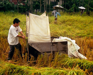 客家庄．古早味割稻機