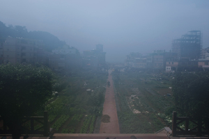 城市的菜園-山隴蔬菜公園