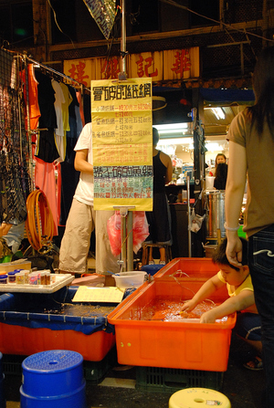 人魚之間的追逐