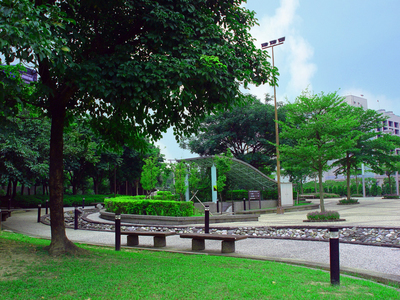 aser's photos