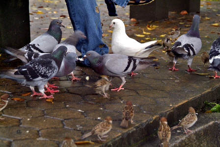 新舊兼容的台北