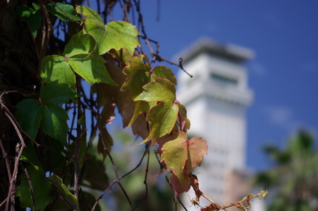 2008數位島嶼攝影比賽-校園