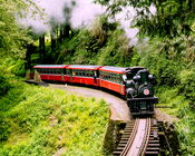阿里山蒸氣火車