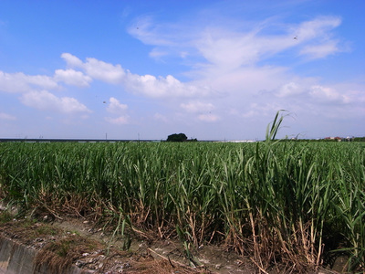 台一線風光 Sightseeing on Route 1