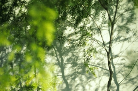 第二屆數位島嶼攝影比賽