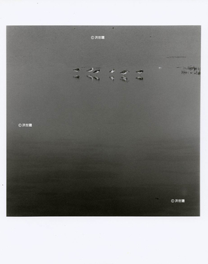 入默-水岸組曲-11