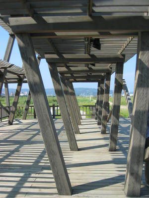 很規則  有質感