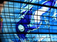 高捷美麗島站~光之穹頂