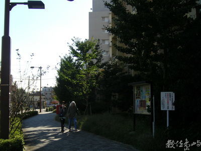 2008日本行