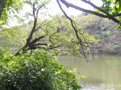 2008日本行