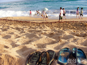 奔向沙灘