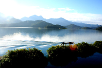 扁舟劃過日月潭