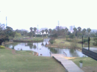 気軽にすこしたたいたの~~