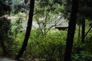 這麼漂亮的地方沒道理不進去，