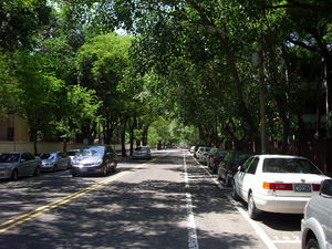 成大旁某綠蔭道