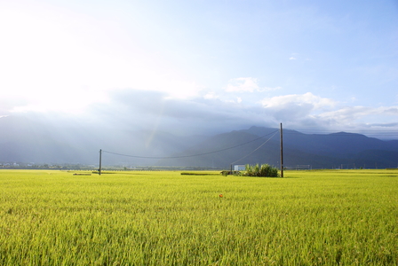 島嶼敘事