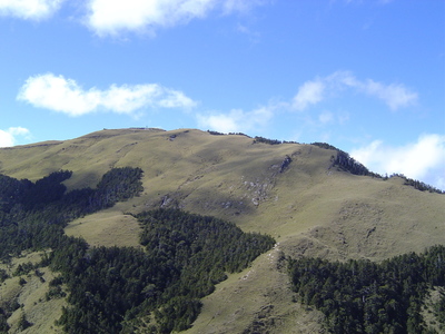 合歡山美景
