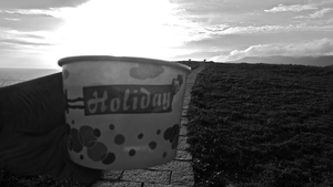 用陽光迎接假日