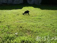 高雄縣甲仙鄉小林村之舊影寫真˙2004年