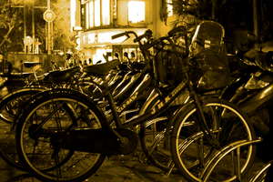 全民流行交通工具