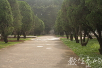 中央大學林道