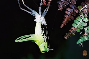 生命力的表現_01