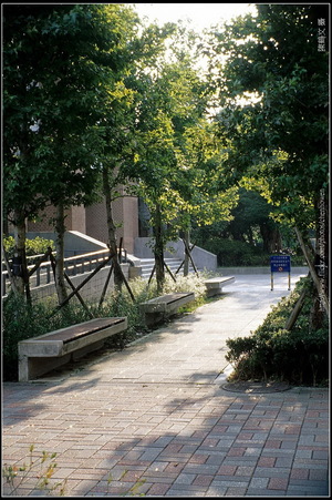 台大校園第一隅