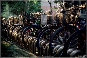 超有立體感的腳踏車