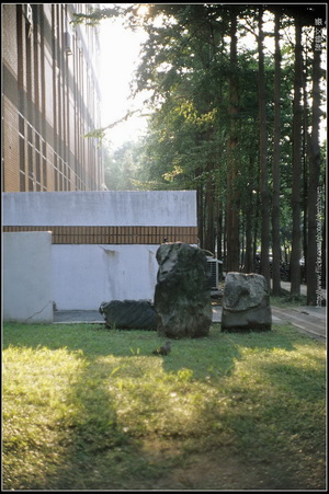 台大校園第二隅