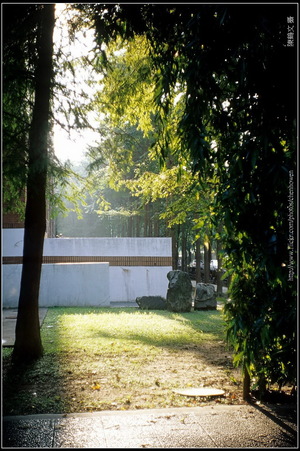 法國 Kinoptik 電影鏡頭 攝影集