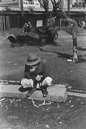 台北新公園1950年代初鄧南光