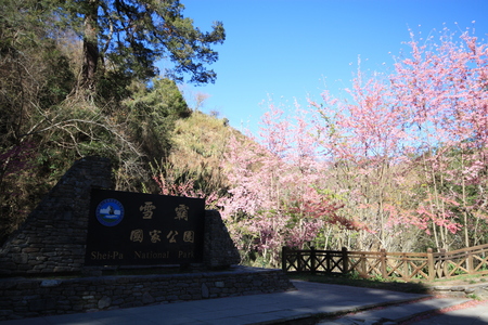 20090227~20090228 武陵農場