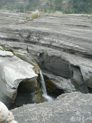 2009 summer