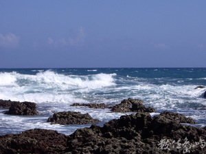 台灣東海岸浪花秀